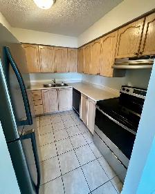 Park East - 1160 Lauzon Rd - Large Updated Two Bedroom - Photo 6