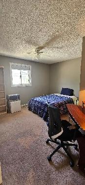 LARGE BEAUTIFUL FURNISHED ROOM AVAILABLE SEPT. 1 IN SOUTH BARRIE - Photo 4