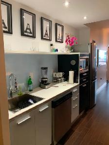 All Inclusive fully furnished 1 bd rm & den condo avail Nov 1 - Photo 3