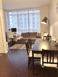 All Inclusive fully furnished 1 bd rm & den condo avail Nov 1 - Photo 6