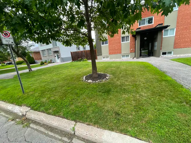 Lively Two Bedroom for Rent