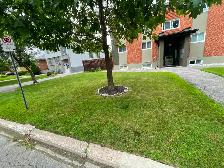 Lively Two Bedroom for Rent