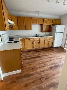 House for rent - Photo 5