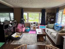 37 Gray Ave, Gander - Photo 5