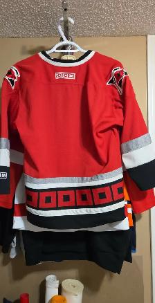 Assorted NHL Hockey jersey's - Photo 2