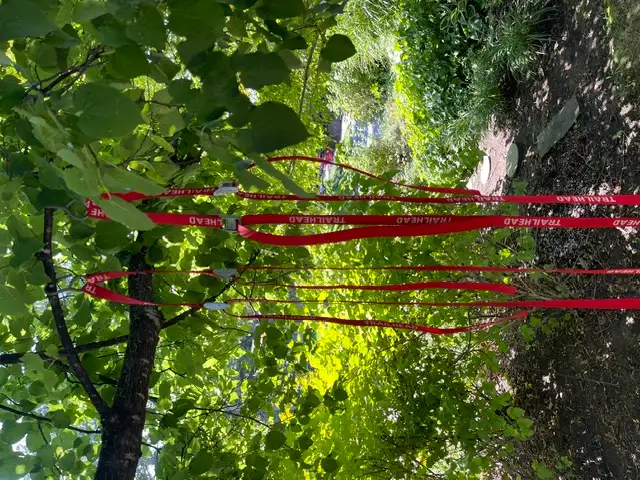 Canoe tie-downs