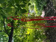 Canoe tie-downs