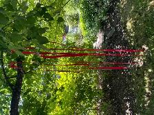 Canoe tie-downs - Photo 2