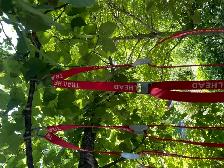 Canoe tie-downs - Photo 3