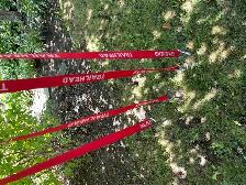 Canoe tie-downs - Photo 4