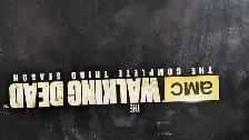 Walking dead. Third season limited edition - Photo 6