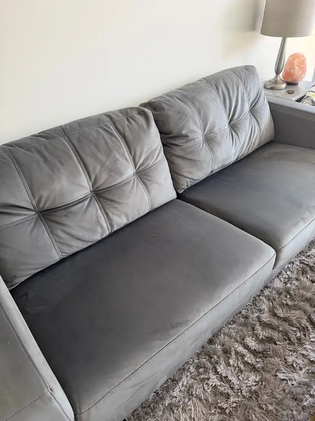 velvet grey couch