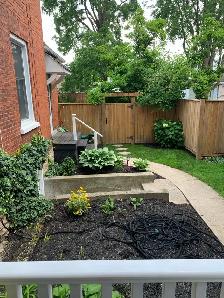 One bedroom basement apartment