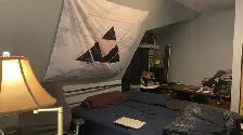 2nd/3rd Flr Rooms For Rent, 2 Baths, Dundas / Ossington - Photo 4