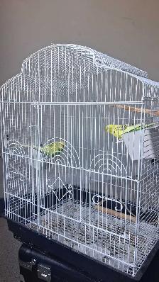 2 Parakeets   Cage - Photo 4
