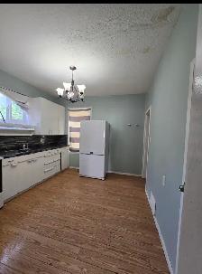 Remodeled Fully Renovated Huge 05 bedrooms House   Utilit. ASAP - Photo 6
