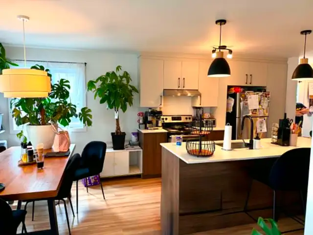 Grand 4 1/2 à louer à Ste-Anne-des-Plaines