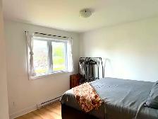 Grand 4 1/2 à louer à Ste-Anne-des-Plaines - Photo 4