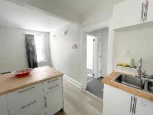 Bright, Fully Renovated 2-Bed Unit in Sargent Park – Move-In - Photo 9