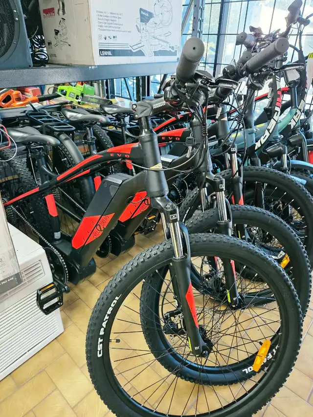 Vélo de montagne électrique
