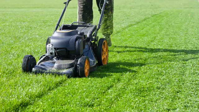 Father and Daughter grass cutting