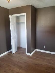 Bright Main-Floor Home Near CFB Trenton with yard - Photo 3