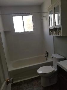 Bright Main-Floor Home Near CFB Trenton with yard - Photo 6