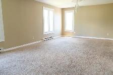 Bright Main-Floor Home Near CFB Trenton with yard - Photo 11