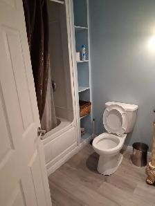 Newly Renovated 1-Bedroom Basement Apartment  – Blezard - Photo 2