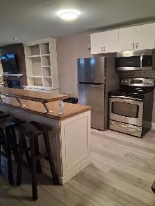 Newly Renovated 1-Bedroom Basement Apartment  – Blezard - Photo 7