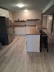 Newly Renovated 1-Bedroom Basement Apartment  – Blezard - Photo 8