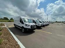 (drivers required immediately) scarboro-dwtn east of young 19/hr