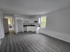 5 1/2 appartement à louer au Plateau Montreal - Photo 5
