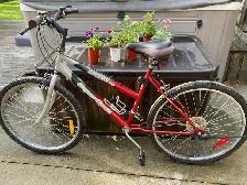 women’s bike
