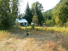 Salmo British Columbia Acreage - Photo 4