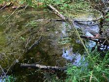 Salmo British Columbia Acreage - Photo 6