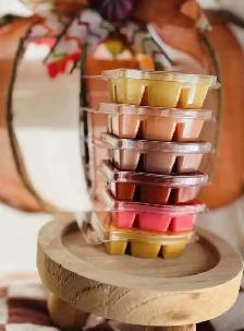 Scentsy local bulk order going in August 17th & 20th! - Photo 4