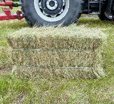 Small Square Grass Hay Bales