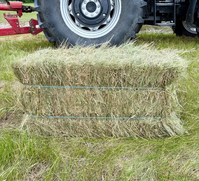 Small Square Grass Hay Bales