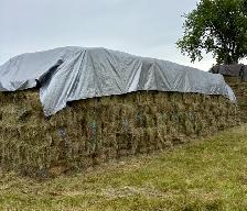 Small Square Grass Hay Bales - Photo 4