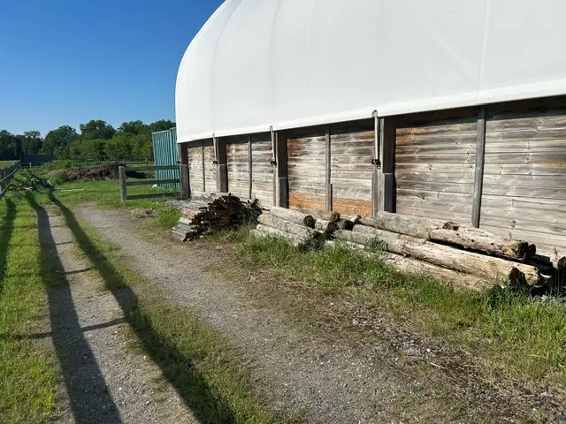 FREE - old cedar fence posts