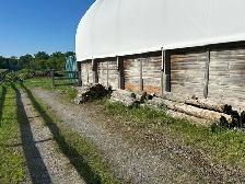 FREE - old cedar fence posts