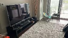 Short term furnished one bedroom apartment - Photo 5