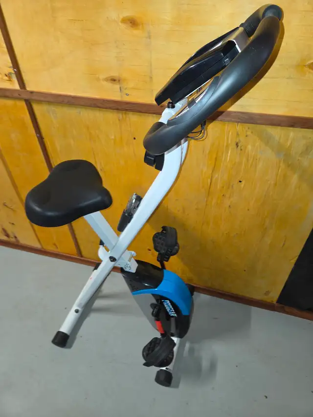 PROGEAR UPRIGHT EXERCISE BIKE
