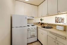 1 Bedroom Apartment available near University of Calgary - Photo 4