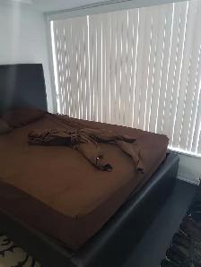 1 Bedroom plus Den available immediately in North York - Photo 9
