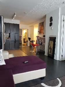 1 Bedroom plus Den available immediately in North York - Photo 10