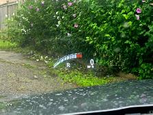 2018 Honda Accord Sedan Touring Navigation, Head-Up Display , Le - Photo 36