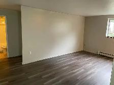 Bright 1 or 2 Bedroom Apartment for Rent - Photo 2