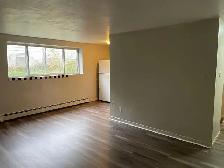 Bright 1 or 2 Bedroom Apartment for Rent - Photo 4
